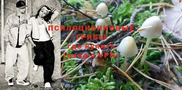 прущая мука Бронницы