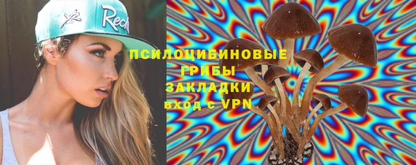 метадон Бородино